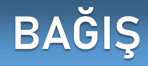 Genel Bağış